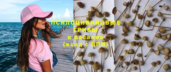 дживик Балахна