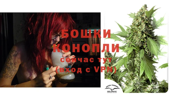 дживик Балахна