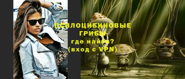 дживик Балахна