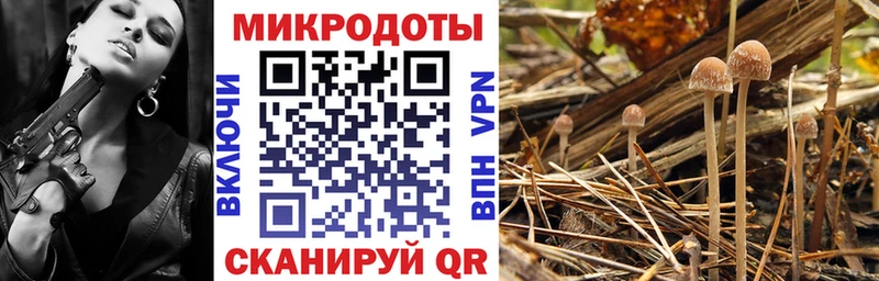 Галлюциногенные грибы GOLDEN TEACHER  Заволжск 