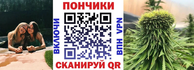 Каннабис сатива Заволжск